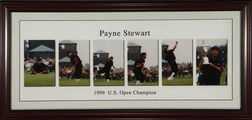Payne Stewart Panoramic Strip