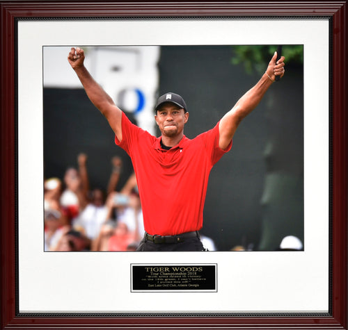 Tiger Woods 2018 Tour Champion
